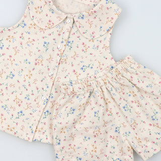 Apricot Set