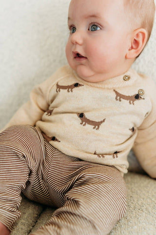 Doxie Dog Jacquard Knit (Organic)