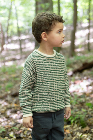 Brian Green Sweater