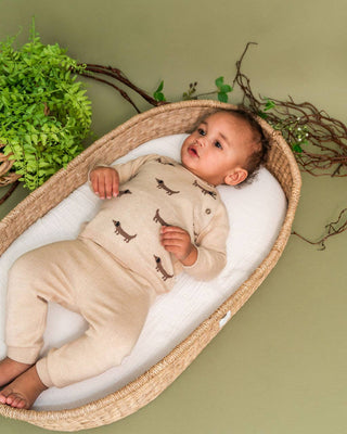 Doxie Dog Jacquard Knit (Organic)