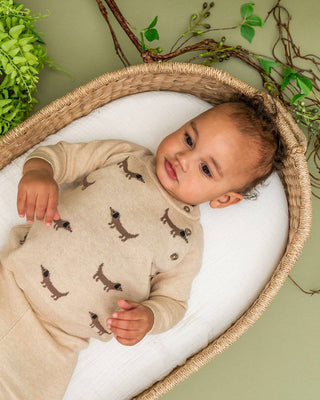 Doxie Dog Jacquard Knit (Organic)