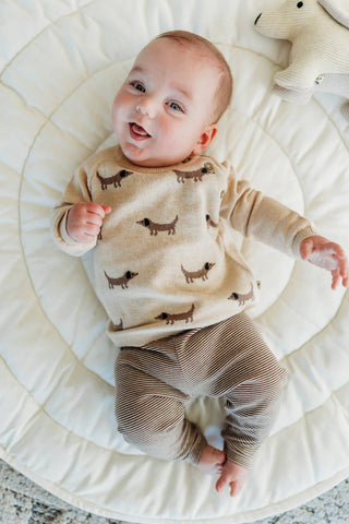 Doxie Dog Jacquard Knit (Organic)